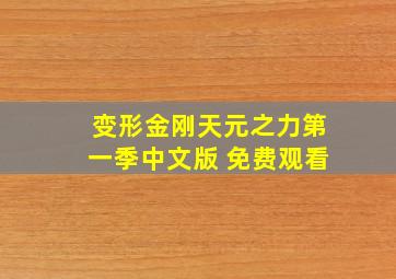 变形金刚天元之力第一季中文版 免费观看